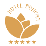 309065431_482010990609040_4382149038431540494_n